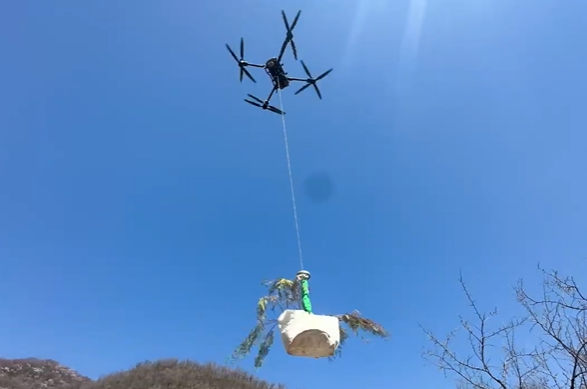 無人機在八達嶺林場上空運送樹苗。北京市園林綠化局供圖