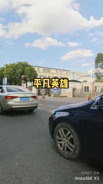 拯救马路上的流浪小猫，你真是我的英雄！