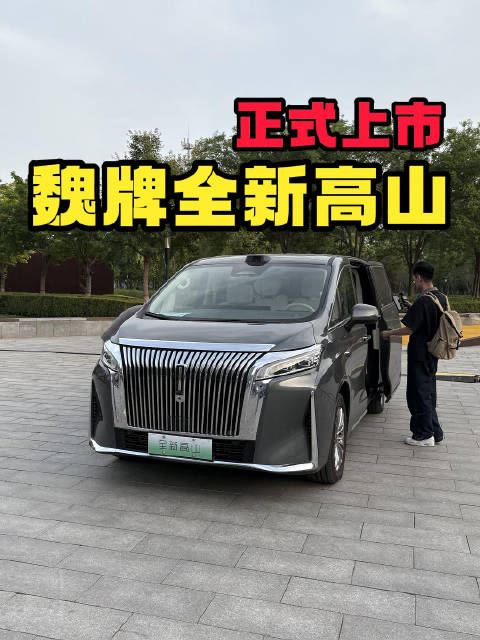 这价格这配置，真的太顶了，魏牌全新高山正式上市