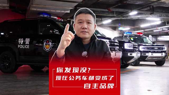 你发现没？现在公务车都变成了自主品牌