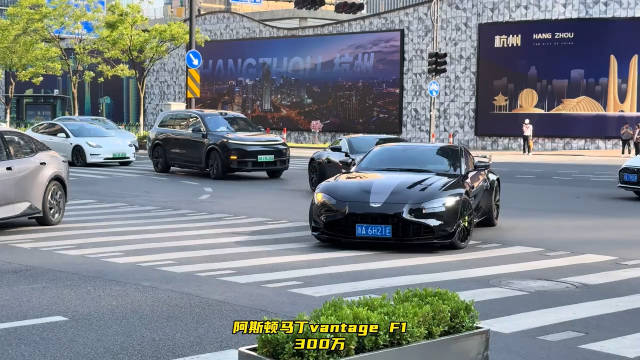 视频：阿斯顿马丁GT2RS与法拉利奔驰同场亮相