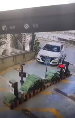 视频：这台凌派的油门是卡住了吗？直接自动驾驶了