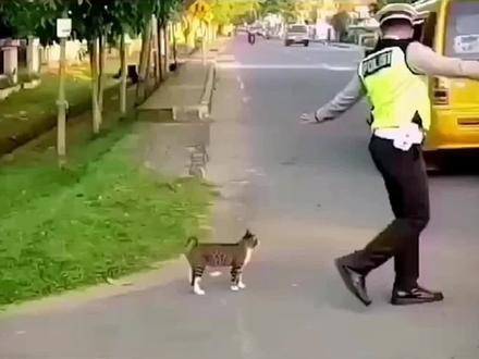 蔡健雅献世界漫长湿润吻，如猫咪优雅过马路