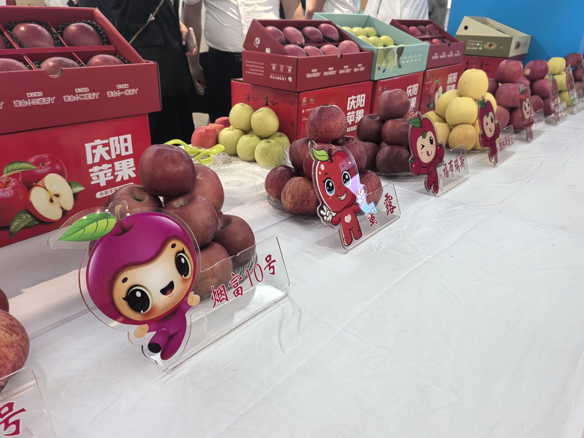 現場展示的慶陽蘋果。 新發地供圖