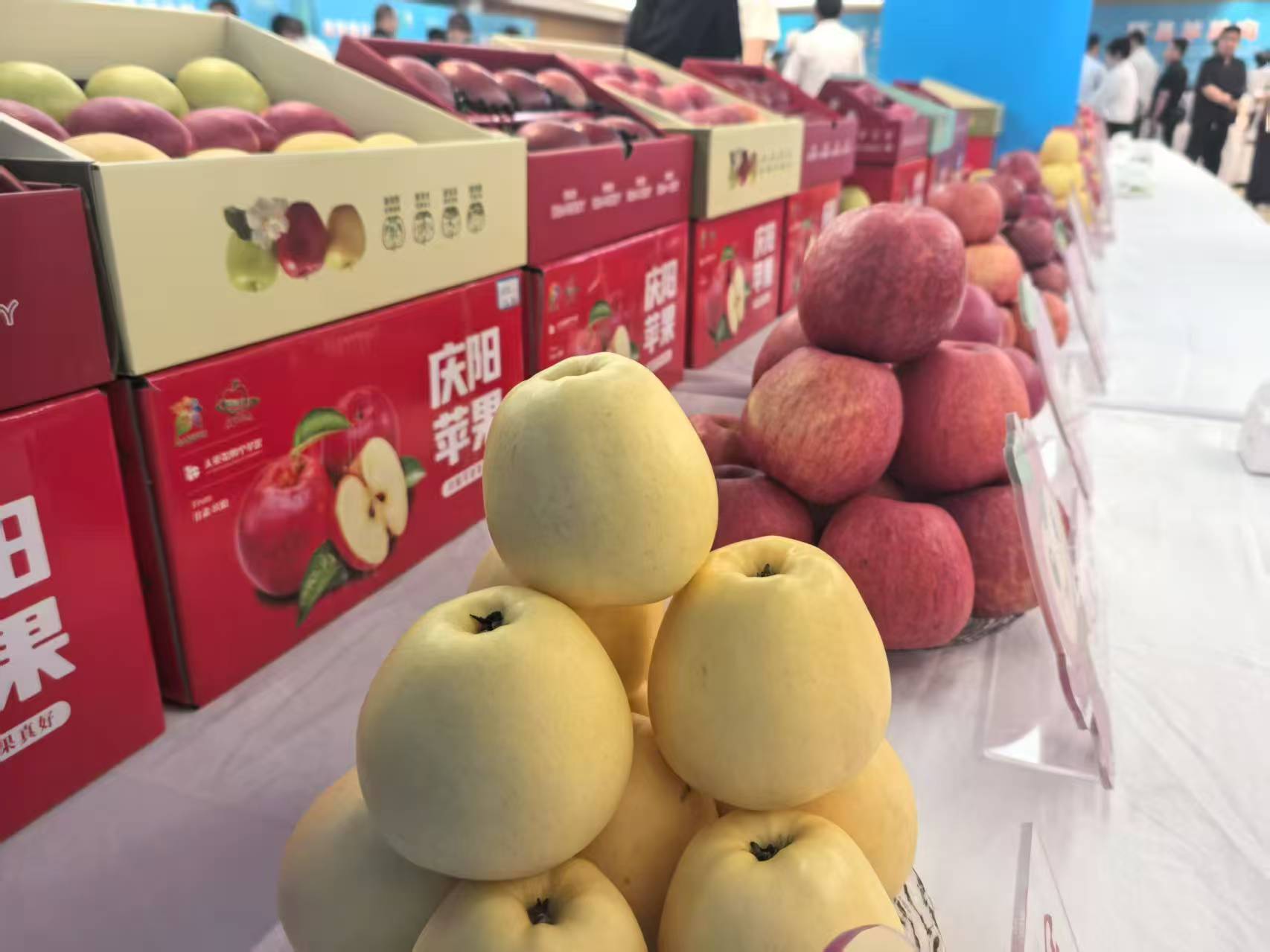 現場展示的慶陽蘋果。 新發地供圖