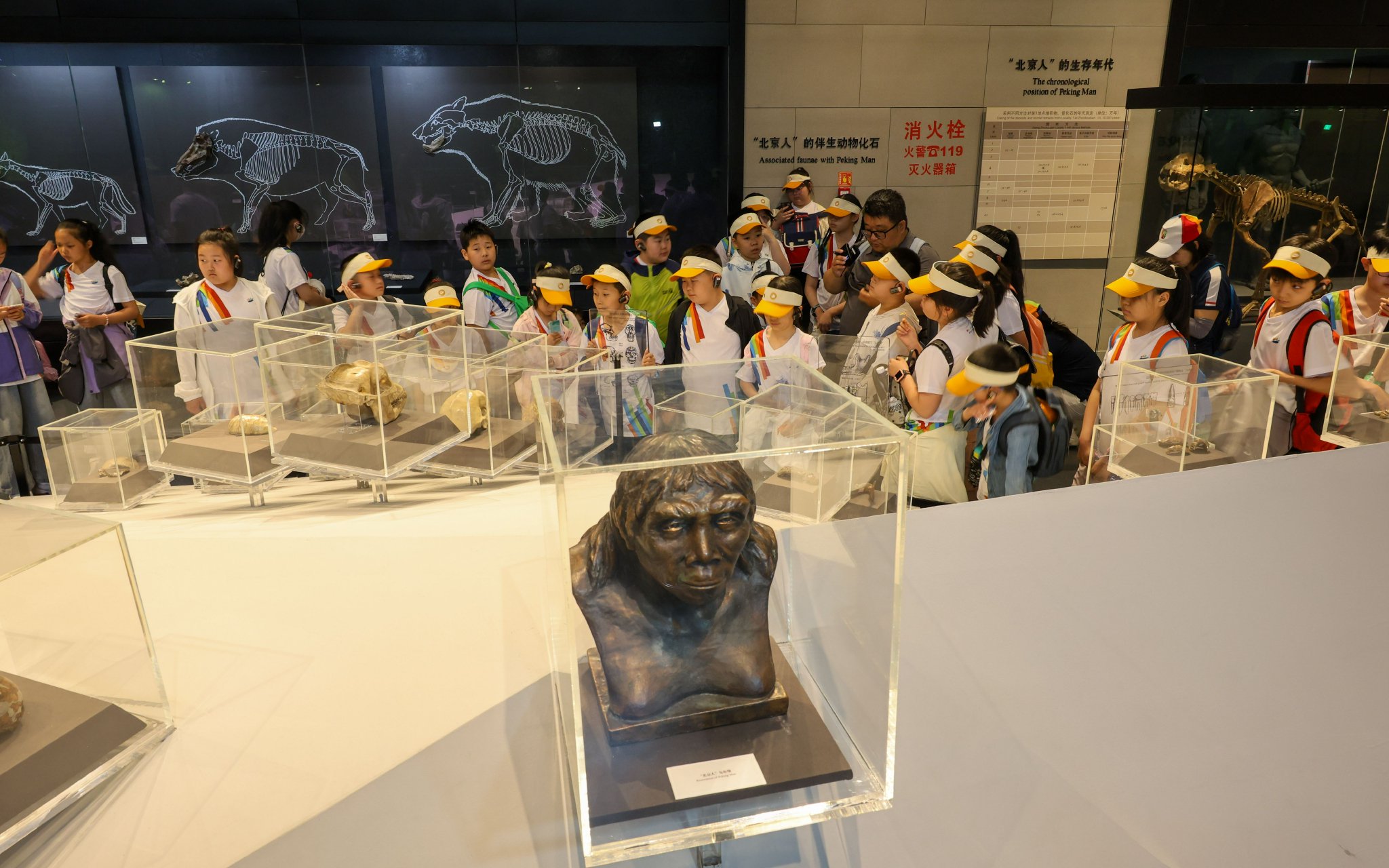 小朋友們在參觀周口店遺址博物館。新京報記者 王子誠 攝