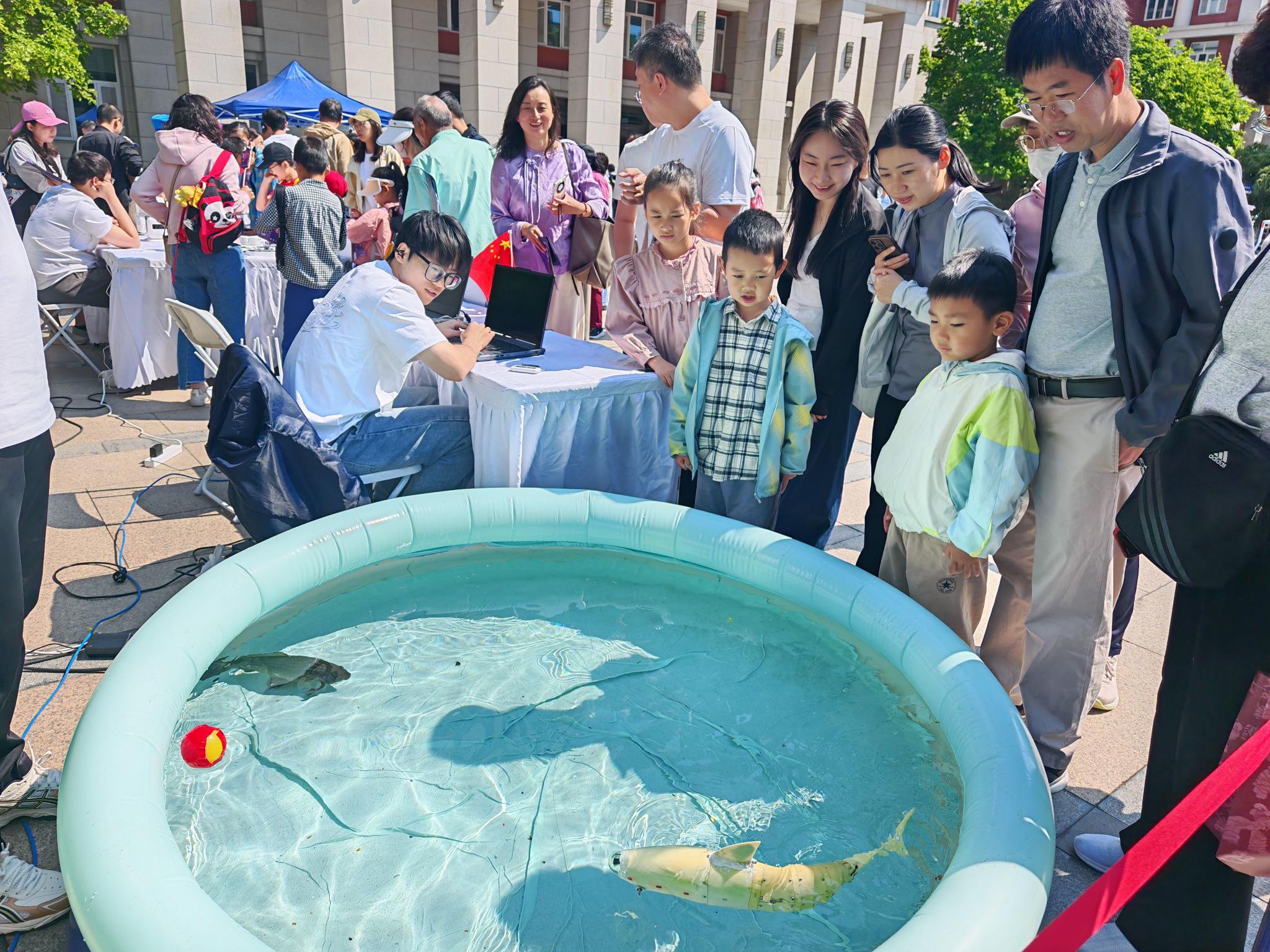 仿生智能機器魚和真魚一起亮相水池。新京報記者 張璐 攝