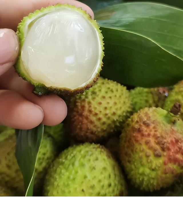 15-40多元!居然已经上市了!呼市人超爱,老板:再等等,还会跌...