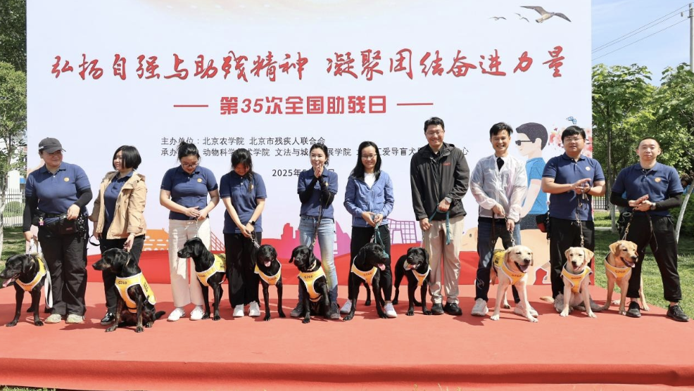首批9只待訓犬在訓導員帶領下集體亮相。受訪者供圖