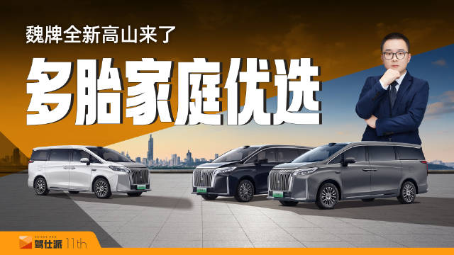 魏牌全新高山上市，起售价30.98万