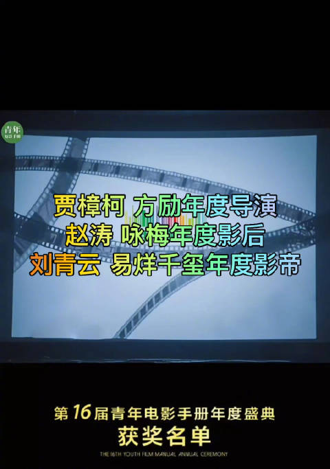 青年电影手册2024年度导演 贾樟柯《风流一代》方励《里斯本丸沉没》