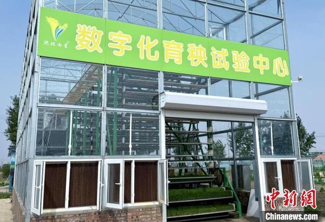 数字化育秧试验中心。沈北新区委宣传部供图