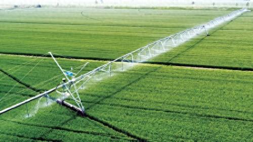 在安徽宿州市埇桥区夹沟镇夹沟农场第二生产区，指针式喷灌机在进行抗干热风作业。 付保保 摄