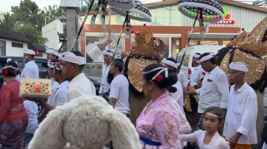 孫晨夫婦帶毛絨兔見證加隆安節遊行。受訪者供圖