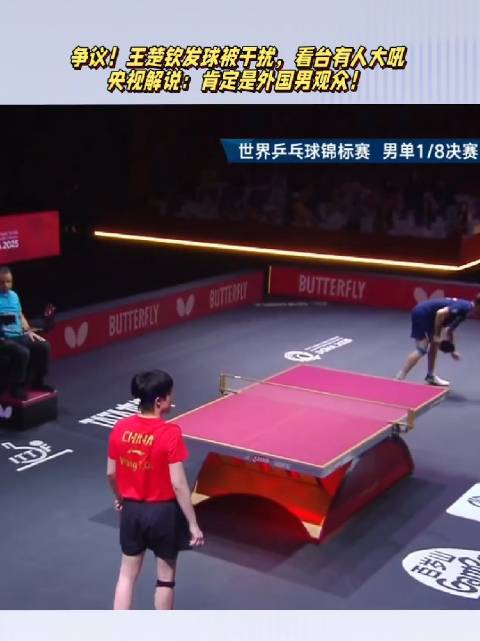 争议！王楚钦发球被干扰，有人大吼，央视：肯定是外国男观众