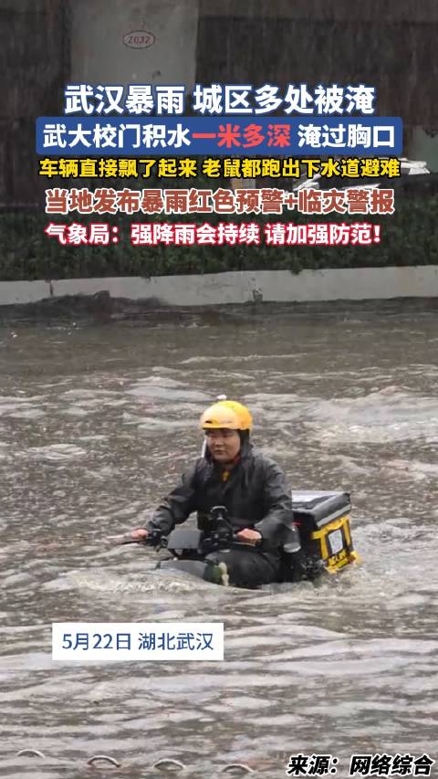 武汉暴雨武大积水没过胸口