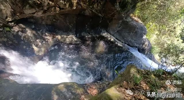 温州这个免费的森林公园和山水秘境,你知道有多少条瀑布吗?