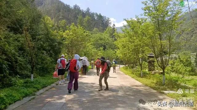 温州这个免费的森林公园和山水秘境,你知道有多少条瀑布吗?