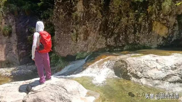 温州这个免费的森林公园和山水秘境,你知道有多少条瀑布吗?