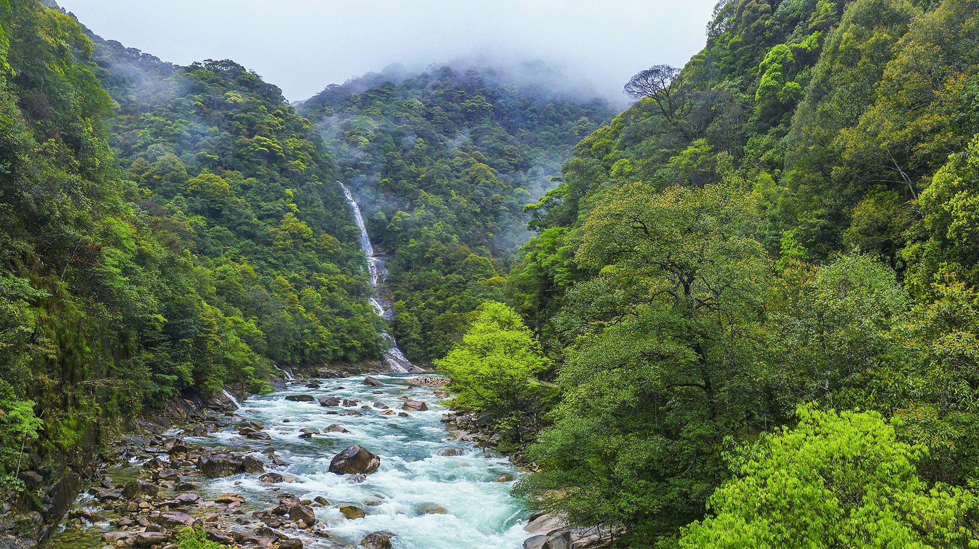 武夷山國家公園。黃海 攝