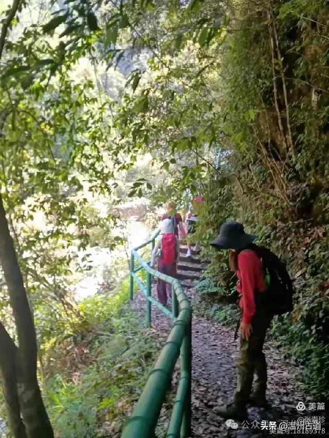 温州这个免费的森林公园和山水秘境,你知道有多少条瀑布吗?