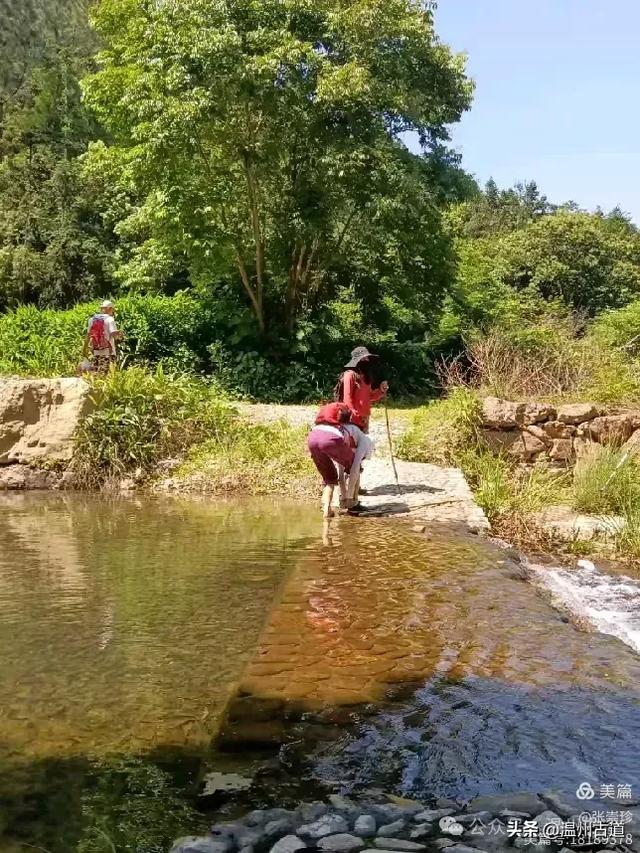 温州这个免费的森林公园和山水秘境,你知道有多少条瀑布吗?
