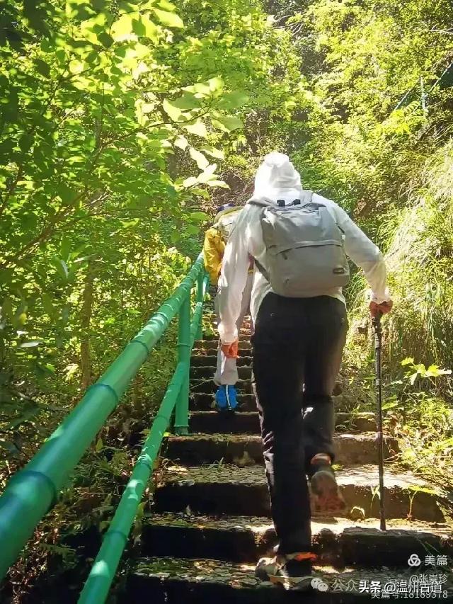 温州这个免费的森林公园和山水秘境,你知道有多少条瀑布吗?