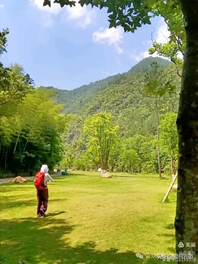温州这个免费的森林公园和山水秘境,你知道有多少条瀑布吗?