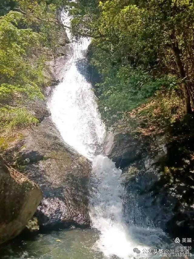 温州这个免费的森林公园和山水秘境,你知道有多少条瀑布吗?