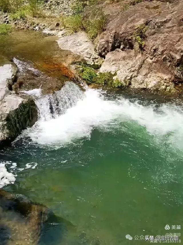 温州这个免费的森林公园和山水秘境,你知道有多少条瀑布吗?