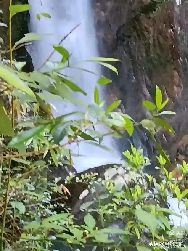 温州这个免费的森林公园和山水秘境,你知道有多少条瀑布吗?