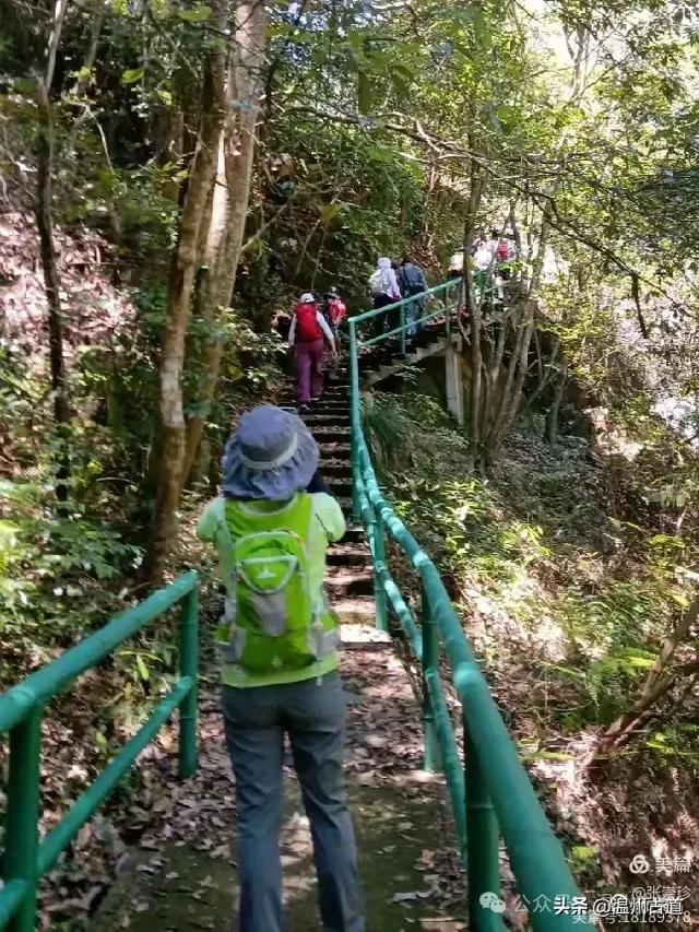 温州这个免费的森林公园和山水秘境,你知道有多少条瀑布吗?