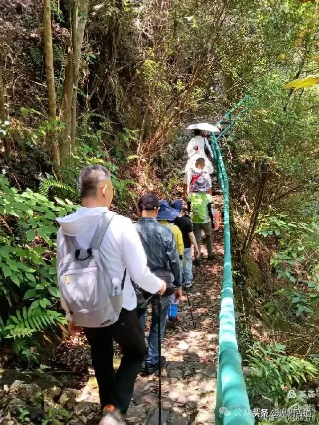 温州这个免费的森林公园和山水秘境,你知道有多少条瀑布吗?