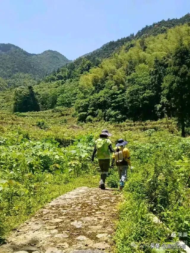 温州这个免费的森林公园和山水秘境,你知道有多少条瀑布吗?