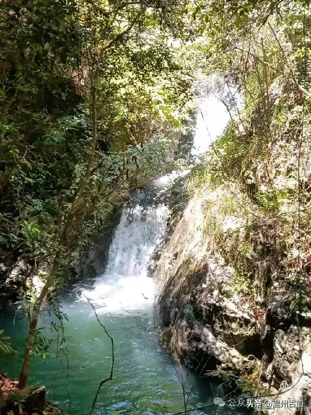 温州这个免费的森林公园和山水秘境,你知道有多少条瀑布吗?