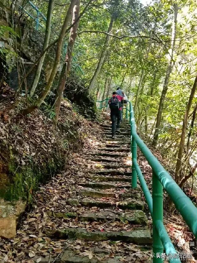 温州这个免费的森林公园和山水秘境,你知道有多少条瀑布吗?