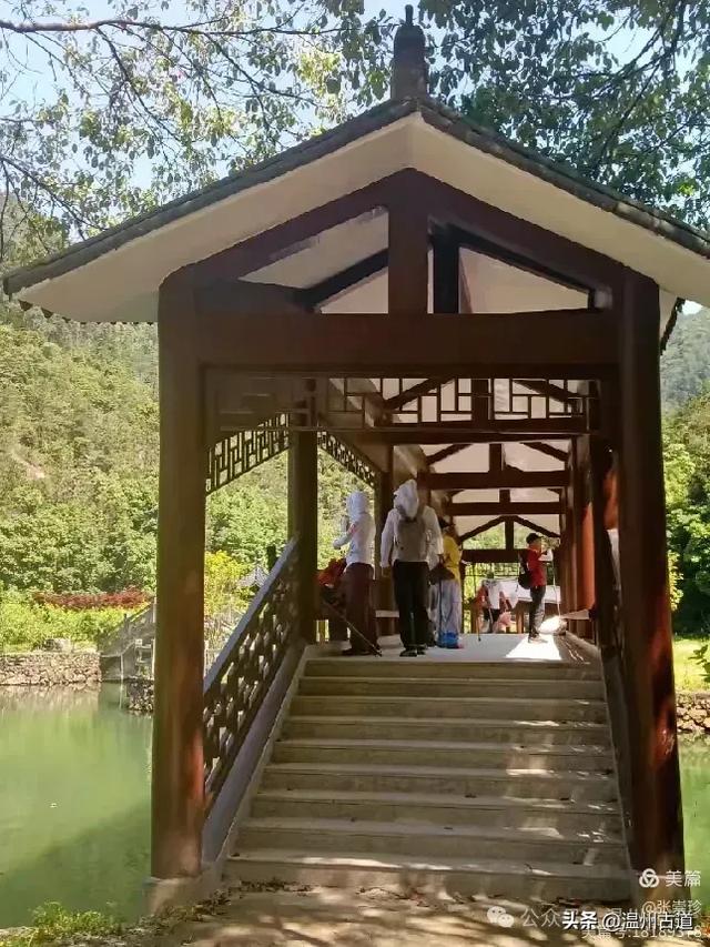 温州这个免费的森林公园和山水秘境,你知道有多少条瀑布吗?