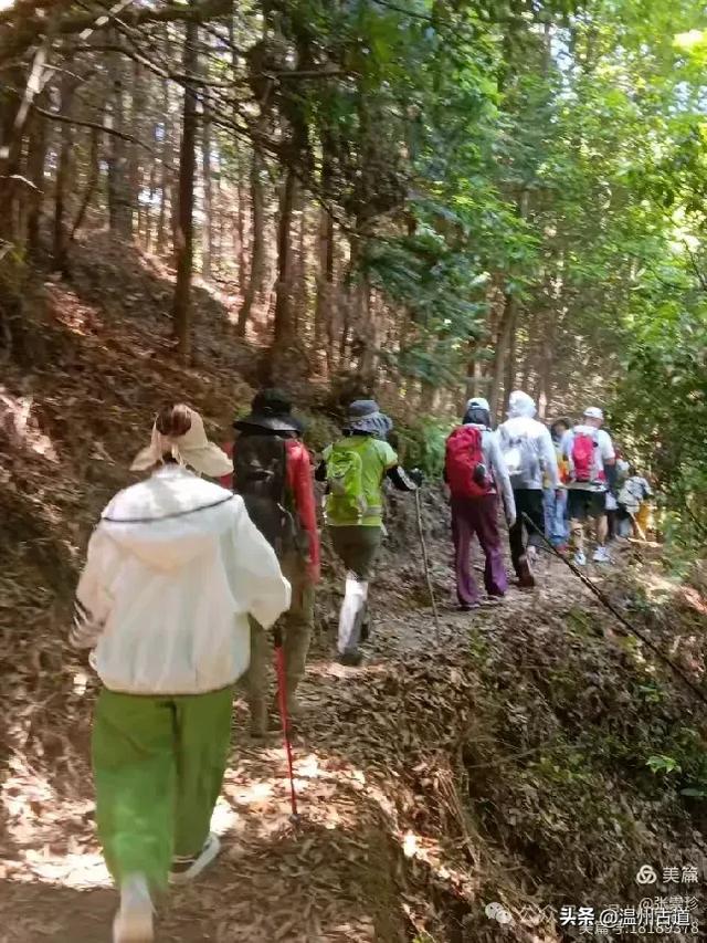 温州这个免费的森林公园和山水秘境,你知道有多少条瀑布吗?
