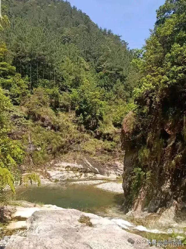 温州这个免费的森林公园和山水秘境,你知道有多少条瀑布吗?