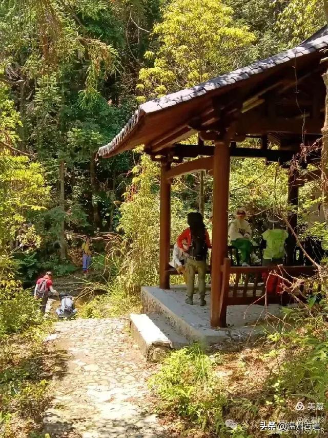 温州这个免费的森林公园和山水秘境,你知道有多少条瀑布吗?