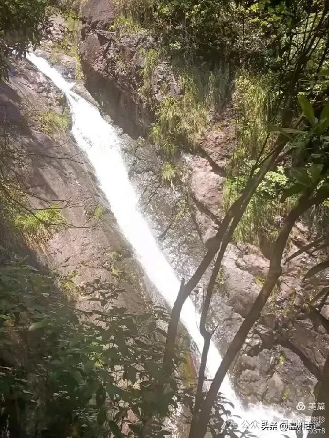 温州这个免费的森林公园和山水秘境,你知道有多少条瀑布吗?