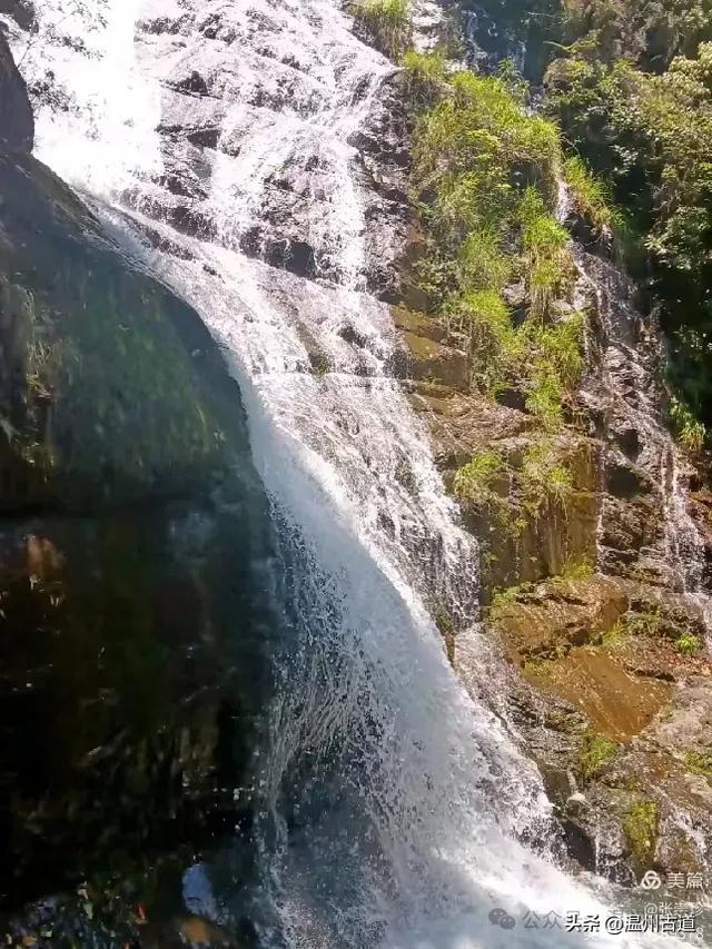 温州这个免费的森林公园和山水秘境,你知道有多少条瀑布吗?