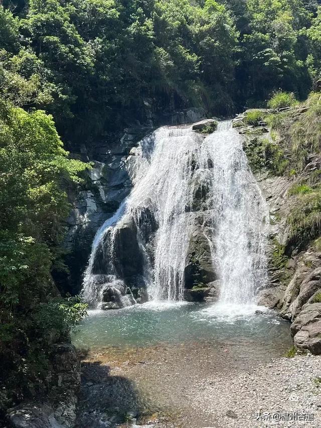 温州这个免费的森林公园和山水秘境,你知道有多少条瀑布吗?
