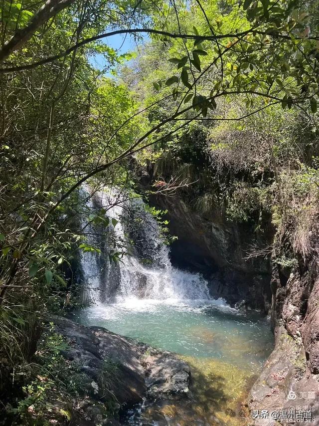温州这个免费的森林公园和山水秘境,你知道有多少条瀑布吗?