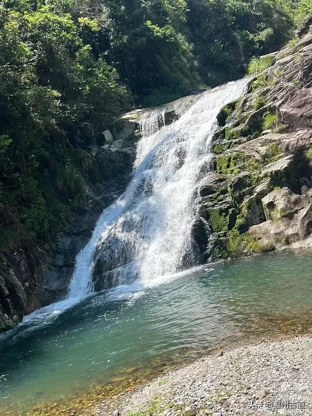 温州这个免费的森林公园和山水秘境,你知道有多少条瀑布吗?