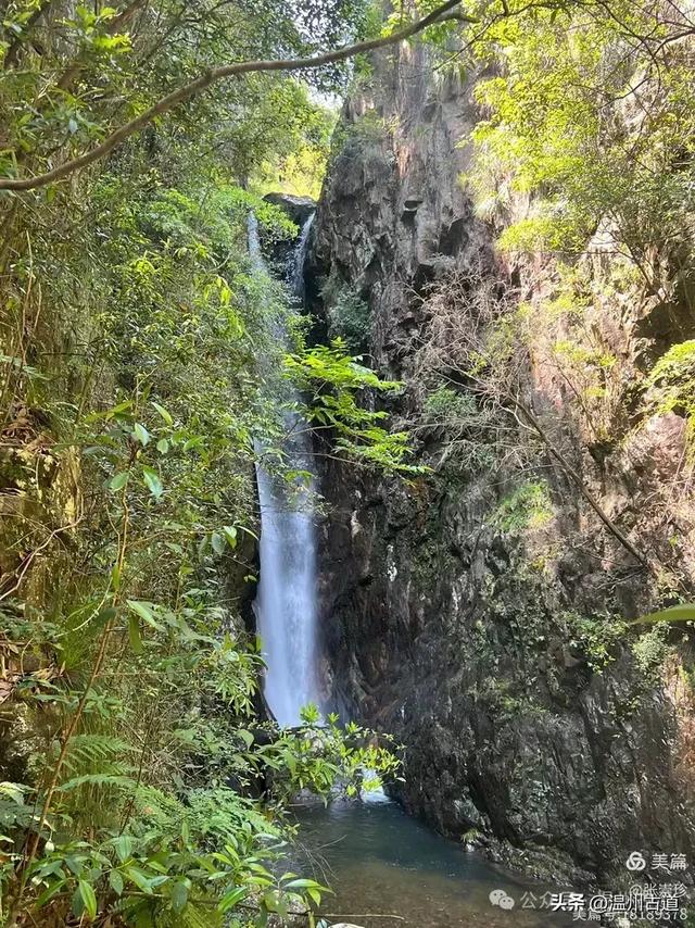 温州这个免费的森林公园和山水秘境,你知道有多少条瀑布吗?