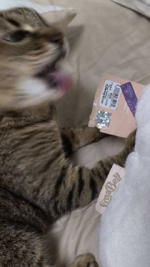 阿杜帮撕吊牌暖心举动获赞