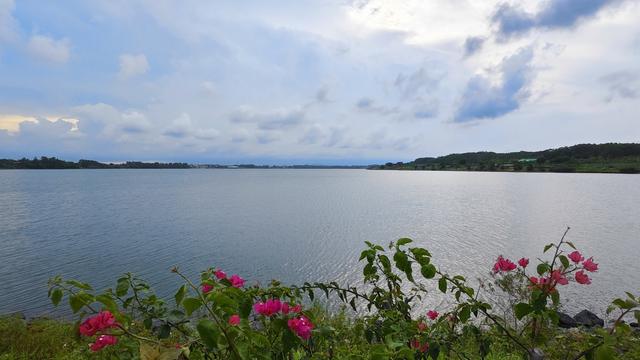 5月21日，从茂名露天矿生态公园遥望市区。 澎湃新闻记者 王岱玉 图
