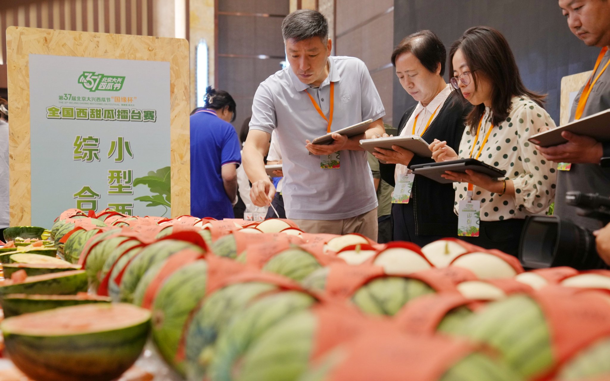 擂台賽現場,專家對西瓜打分。新京報記者 李木易 攝