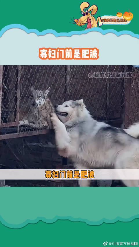 这俩要是真成了，绝命毒师得坐主桌微博VC计划